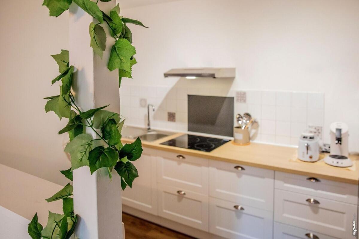 Appartement Tout Confort - Hypercentre - 58M2 - Gaillac Dış mekan fotoğraf